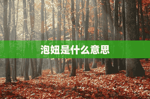 泡妞是什么意思